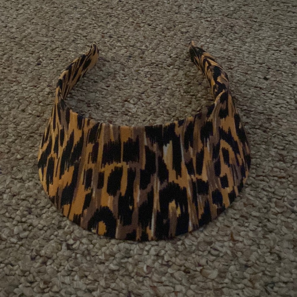 Visor